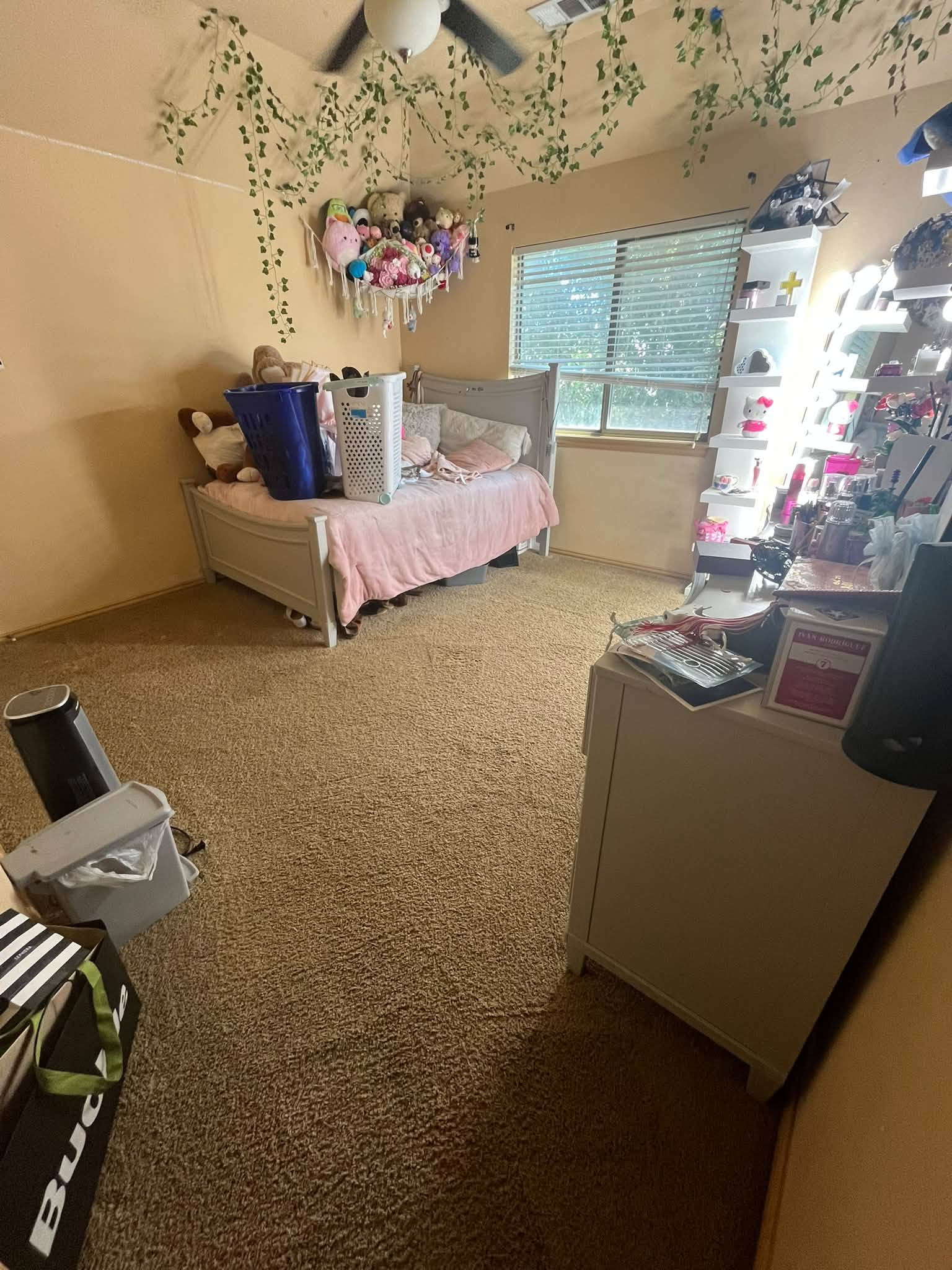Bedroom carpet cleaning result